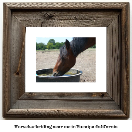 horseback riding near me in Yucaipa, California